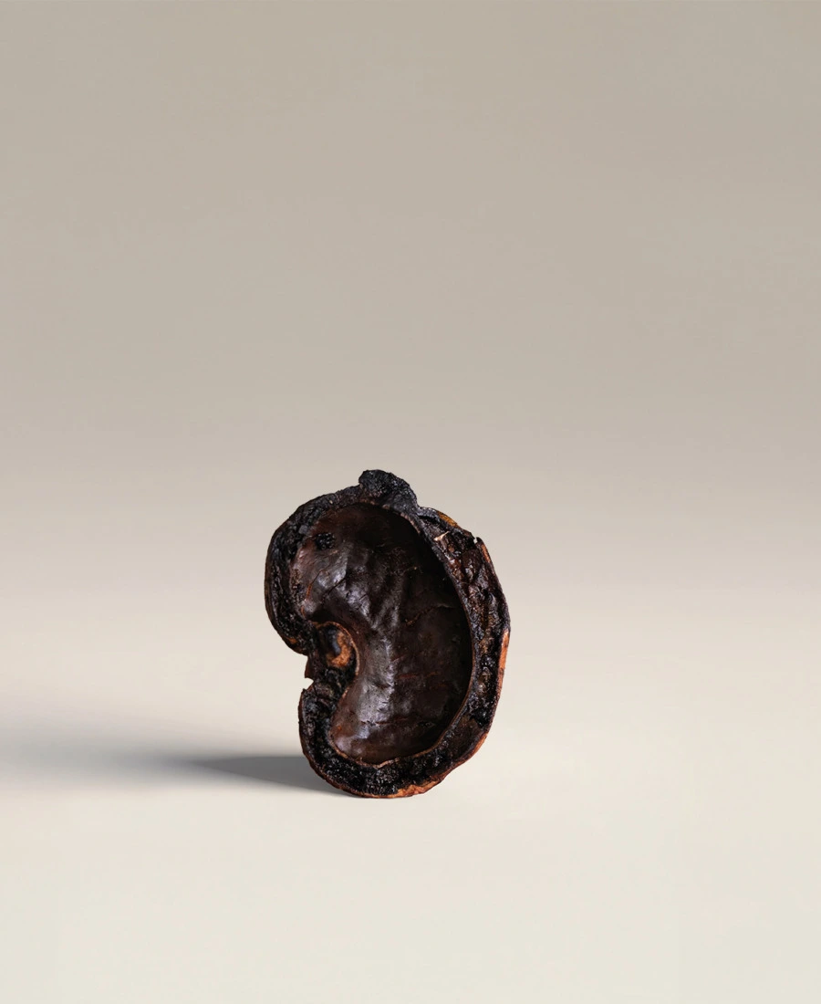 Cashew Nut Shells CNS — product photograph Cashew Nut Shells (CNS)