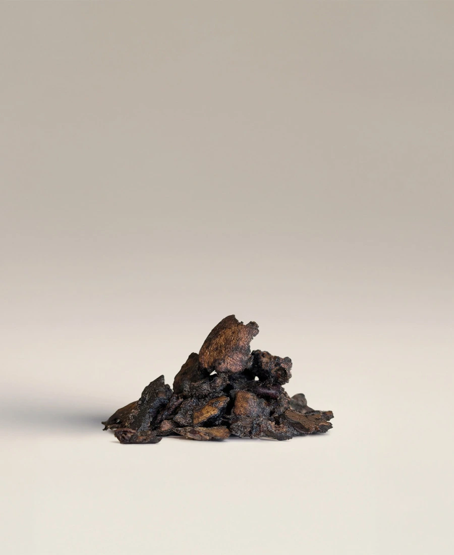 Crushed Cashew Nut Shells CCNS — product photograph Crushed Cashew Nut Shells (CCNS)
