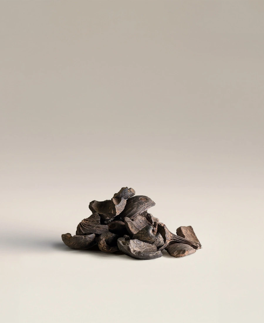 Palm Kernel Shells PKS — product photograph Palm Kernel Shells (PKS)