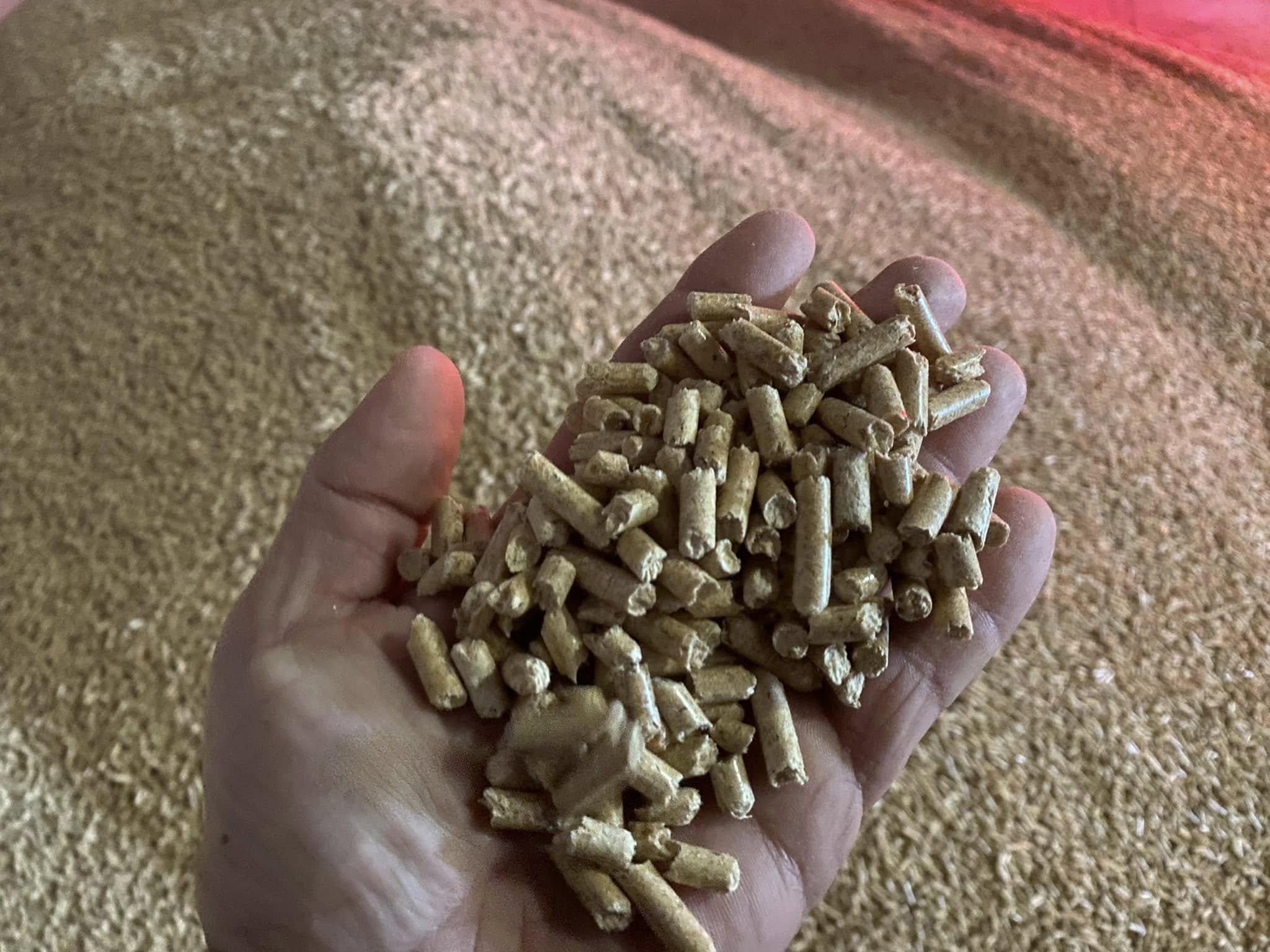 A handful of wood pellets above a bulk pellet stockpile A handful of wood pellets above a bulk pellet stockpile